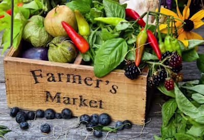 Farmers' Market Sales Data Analysis and Visualization