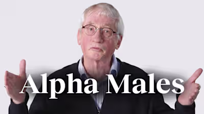 The ‘alpha male’ myth, debunked | Frans de Waal - YouTube