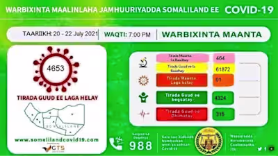 Impact of COVID-19 on Street Vendors in Borama, Somaliland