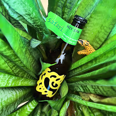 Designing for your other self is quite peculiar. The other s...