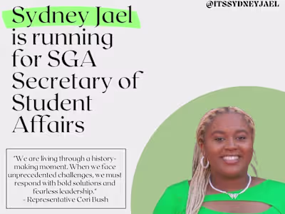 Social Media Election Campaign