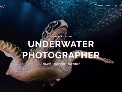 Website design - Underwater photographer