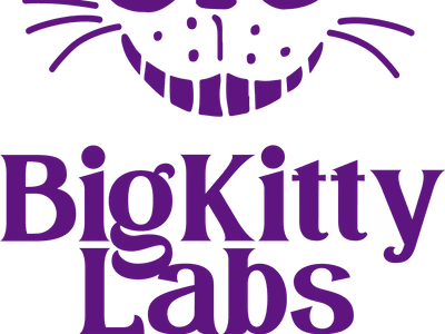 Government Procurement for BigKittyLabs 