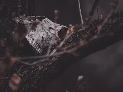 Heroes and Lambs - Horror Screenplay