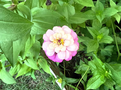 Virtual admin support