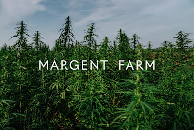 Margent Farm — Rita Juarez