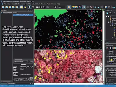 Vegetation analysis with OBIA