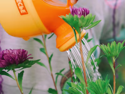 Marketing Director for Educational Non-Profit