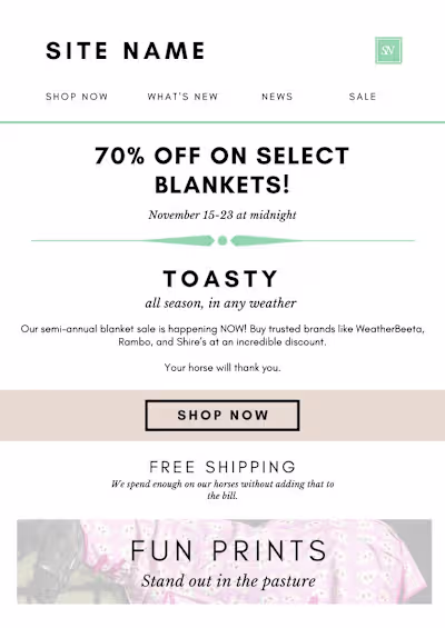 Targeted Email Advertisement