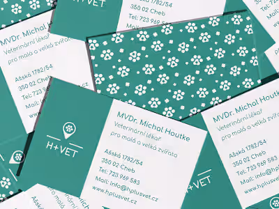H+VET Branding