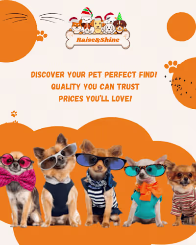 Cashmere Twisted Rope Pet Sweater