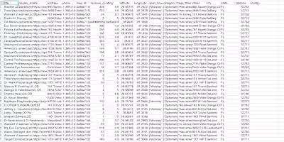 Google SERP and Maps Data Scraper