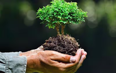 Environmentalism as Resistance: Reclaiming Our Earth