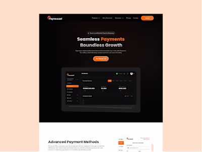 Payvessel Website Design