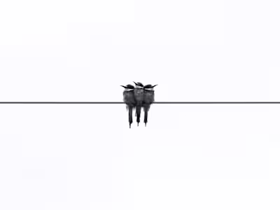 Social Media Animations