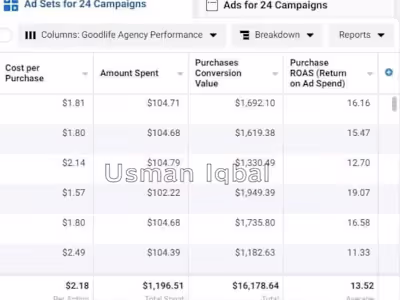 Facebook Ads Case Study. $1200 to $15,000 with 13.52 ROAS.