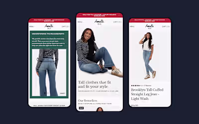 Shopify Theme Implementation & Full Site Build