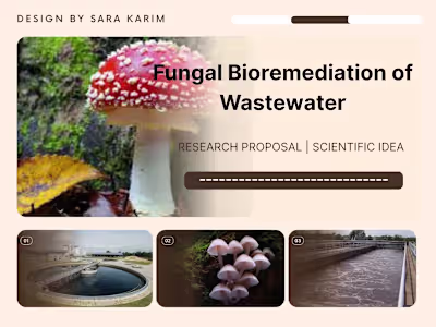 What if fungi could help clean our wastewater naturally? Thi...