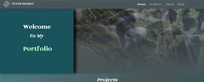 Web Design WIX