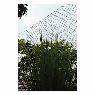 Minimal. Asthetics :: Behance