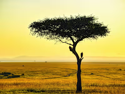 A web app for marketing land on sale.