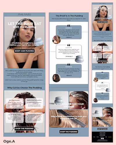 Email campaign for hair pudding