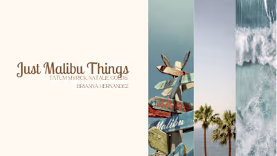 Social Media Campaign for Local Business Awareness