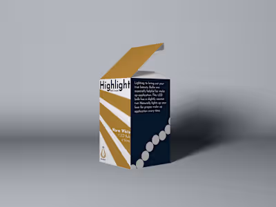 Light Bulb Logo and Packaging