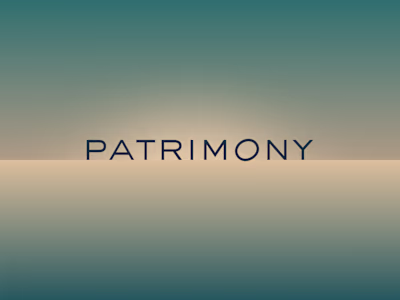 Branding for Wealth Management App