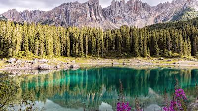 How to Be More Eco-Friendly: 105 Ways to Live an Environmentall…