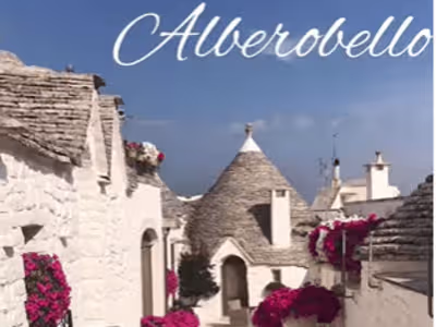 Reel for Blinkoo app