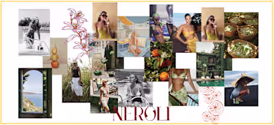 Swimwear Brand Mood board