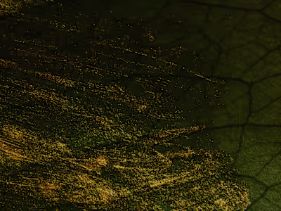 Web Site Creation and Content 