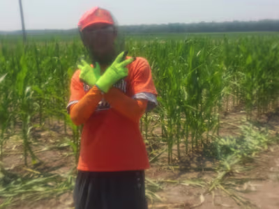 Small Business Website Creation