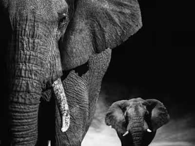 Monthly Expense Tracker 