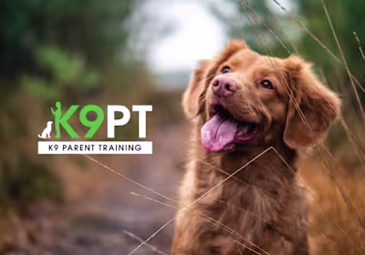 Brand Identity + Website Design + Marketing Collateral