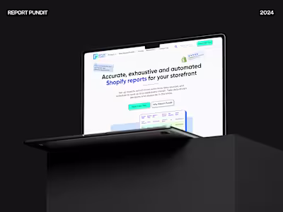 Report Pundit - Business Analytics Web Solution