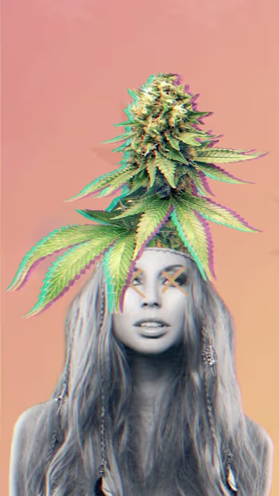 4/20 Cannabis Equity Reel