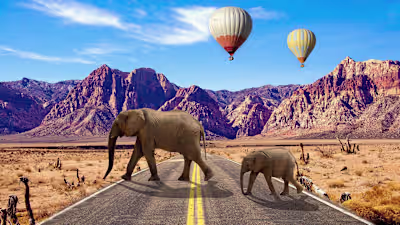 Adobe Photoshop :: Behance