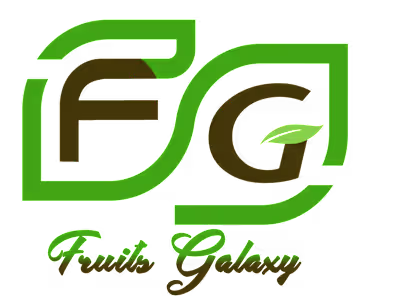 Website Creation