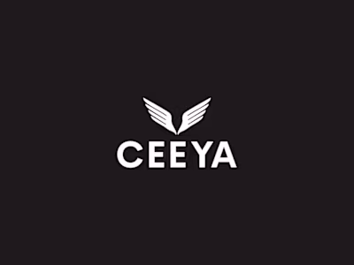 Ceeya Portfolio Creation Tool