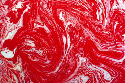 Production and Performance of 'Nestbeschmutzerin' EP