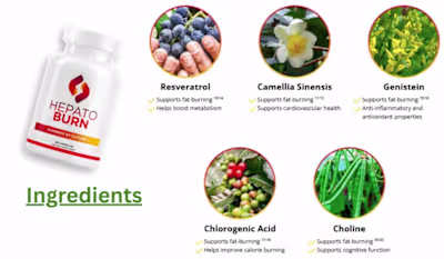 HEPATOBURN : (STEP-BY-STEP RECIPE) - WHAT IS THE HEPATOBURN?