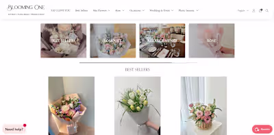 Shopify Store SEO & Management