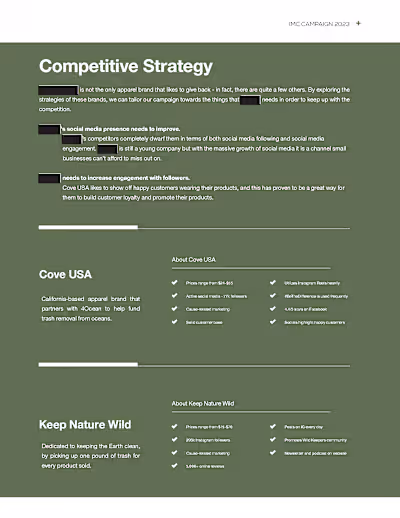 Writing for Marketing Strategy