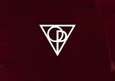 Brand Identity & Visual System for Polari