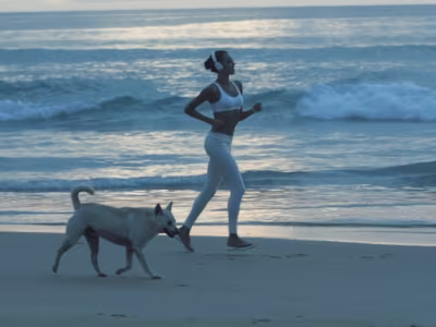 🎥  Video Montage - Reel from videos I filmed and edited