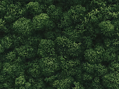 Frequently Asked Questions - Website Copy