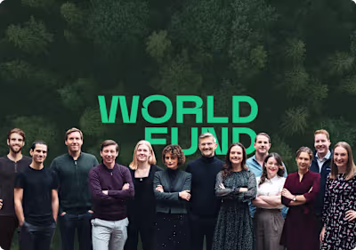 Webdevelopment | World Fund