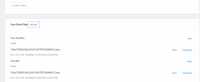 Google Drive integration with full OAuth 2.0 flow and admin ...